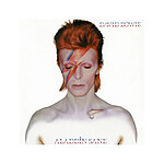 David Bowie - Puzzle Rock Saws Aladdin Sane (500 pièces)