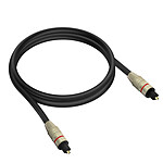LinQ Câble Optique Audio Numérique Connecteur Toslink Flux lumineux 1m  Noir
