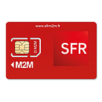 LM2 GROUP - Carte SIM M2M pour alarme GSM