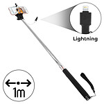 Avizar Perche à Selfie iPhone Lightning Télescopique Extensible 1m Rotative - Argent
