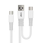LinQ Câble USB / USB-C vers USB-C 60W Charge et Synchro Longueur 1,2m  Blanc