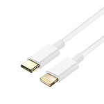 Avizar Câble USB-C vers Lightning Charge et Synchro Rapide Silicone Résistant 1m Noir
