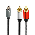 LinQ Câble Audio USB-C vers 2x RCA Mâles Son de Qualité Nylon Tressé 1.5m  Gris
