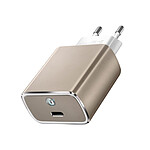 Google Chargeur Secteur USB-C Power Delivery 18W Original Avec Cable Double USB-C  Gris