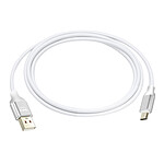LinQ Câble USB vers Micro-USB Charge et Transfert Longueur 2m Argent