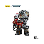 Warhammer 40k - Figurine 1/18 Grey Knights Strike Squad Grey Knight with Psilencer 12 cm