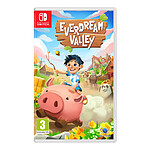 Everdream Valley Nintendo Switch