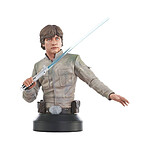 Star Wars Episode V - Buste 1/6 Luke Skywalker 15 cm