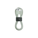 Native Union Câble Belt USB vers Lightning (1.2m) Vert