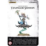 Warhammer AoS & 40k - Tzeentch Arcanites Tzaangor Shaman