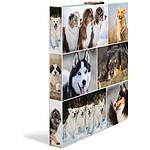 HERMA Classeur 2 Anneaux Carton Dos de 35mm Format A4 Animals Motif Chiens