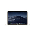 MacBook Retina 12" 2016 Core M7 1,3 Ghz 8 Go 256 Go SSD Or - Reconditionné