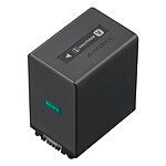 SONY Batterie NP-FV100A2 pour AX43,AX700,AXP55,AX53,AX33