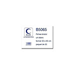 ELVE Paquet de 25 Fiches bristol 50 x 65 cm 180g Unie Blanc