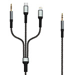 LinQ Câble Audio Multi embouts Jack 3.5mm USB-C Lightning vers Jack 3.5mm 1.5m