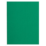 EXACOMPTA Paquet de 100 chemises Flash 220 teintes vives24 x 32 cm Vert foncé x 5