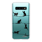 Evetane Coque Samsung Galaxy S10 360 intégrale transparente Motif Chat Lignes Tendance