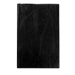 EXACOMPTA Agenda Journalier La Journée planifiée 21 plastique 210x135 mm Noir