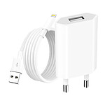 Avizar Chargeur Secteur USB pour iPhone 1A 5W avec Câble USB-A vers Lightning 1m