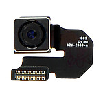 Avizar Module Caméra Arrière + nappe de connexion pour iPhone 6