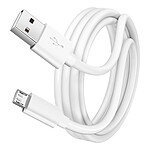 Avizar Cable Micro USB Charge rapide Transfert De Données Longueur 1m Blanc