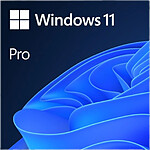 Windows 11 Professionnel