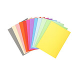 EXACOMPTA Paquet de 100 chemises Forever® 220 100% recyclé 24x32cm Assorties x 5