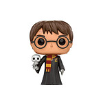 Harry Potter - Figurine POP! Harry with Hedwig 9 cm