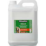 CLÉOPÂTRE Cléocol Colle Blanche multi usage en 5 kg