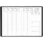EXDI Agenda scolaire SCOLEXDI 100 x 150 mm Noir x 50 EXDI Agenda scolaire SCOLEXDI 100 x 150 mm Noir x 50