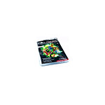 Ultra Pro Ultimate Guard 100 - Pochettes Comics refermables (Current Size)