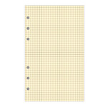 EXACOMPTA Recharge accessoire Exatime 17 bloc quadrillé chamois 40 feuillets 172x105 mm