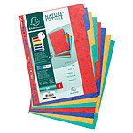 EXACOMPTA Intercalaires Nature Future carte lustrée 225g 8 positions A4 x 25
