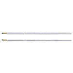 PENTEL Lot de 2 recharges pour stylo bille rétractable iZee bleu x 12 PENTEL Lot de 2 recharges pour stylo bille rétractable iZee bleu x 12