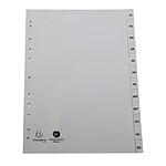 EXACOMPTA Intercalaires imprimés mensuels PP recyclé gris Janvier-Décembre - 12 positions - A4 - Gris x 10