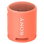 Enceinte Bluetooth Sony