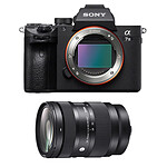 SONY ALPHA 7 III + SIGMA 28-70mm f/2.8 DG DN