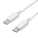 apple Câble USB-C vers Lightning Technologie Power Delivery 1m Original Apple - Blanc
