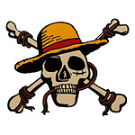 One Piece - MÃ©daillon Jolly Roger Limited Edition