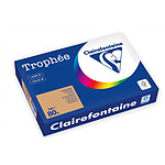 CLAIREFONTAINE Ramette Papier FSC A4 80g 500 Feuilles Caramel x 5