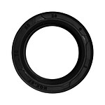 Avizar 10 Joints Spi Grand Moteur pour Trottinette Dualtron Noir