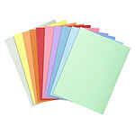 EXACOMPTA Paquet 100 chemises SUPER 160 24x32cm Couleurs assorties x 5
