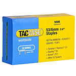 TACWISE Boite de 5000 Agrafes 53/6 mm, galvanisé