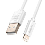Inkax Câble USB vers Lightning Recharge et Synchronisation Rapide Blanc