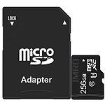 imro Card Carte Mémoire Micro SDHC 256GB Class 10 Noir