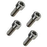 Avizar Vis de Fixation Guidon pour Trottinette Dualtron Mini Argent