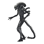 Alien: Romulus - Figurine Ultimate Xenomorph XX121 18 cm