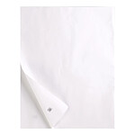 CLAIREFONTAINE Rame de 10 feuilles de Papier Calque, 285 g/m², A3 CLAIREFONTAINE Rame de 10 feuilles de Papier Calque, 285 g/m², A3