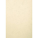 EXACOMPTA Pack de 100 feuilles EVERCOVER pour reliure A3 270 g Ivoire EXACOMPTA Pack de 100 feuilles EVERCOVER pour reliure A3 270 g Ivoire