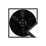 Avizar Cadre de Présentation 12,5" pour Vinyles 33 Tours Mural en Aluminium Noir